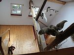 Ferienhaus, Eifel, Monschau, Rursee, Urlaub